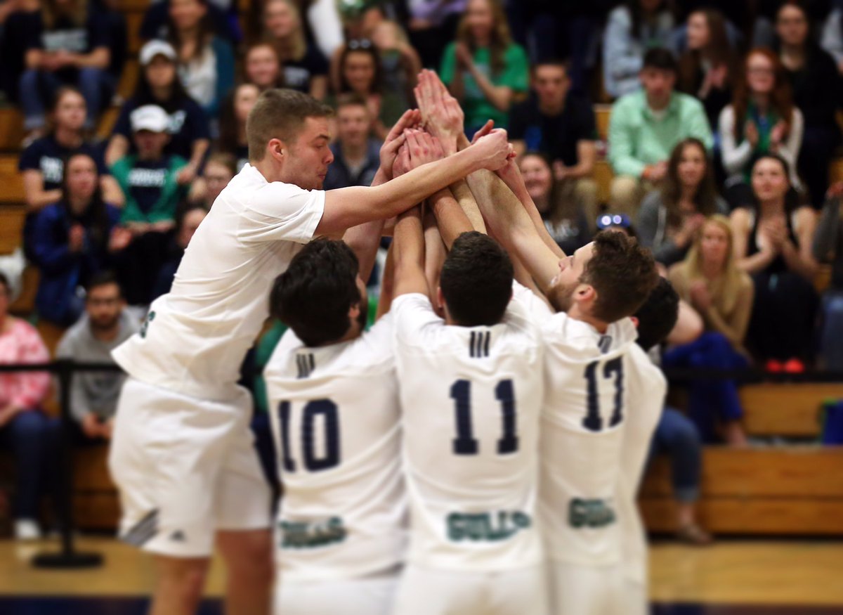 Endicott Men's VB tweet media