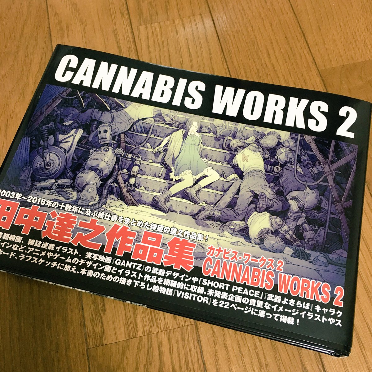 ソメさん カナビスワークス2を手に入れた 相変わらず田中達之先生のイラストは素晴らしい リンダキューブの新作とかうっかり出ないかなぁ