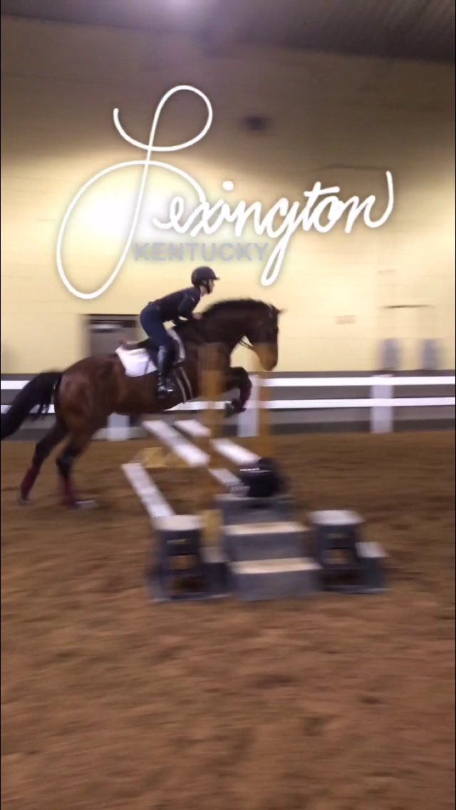 VTET_Hunter's tweet photo. Del Fino is ready for his IHSA debut! #vtet https://t.co/pkMyN8OZOS