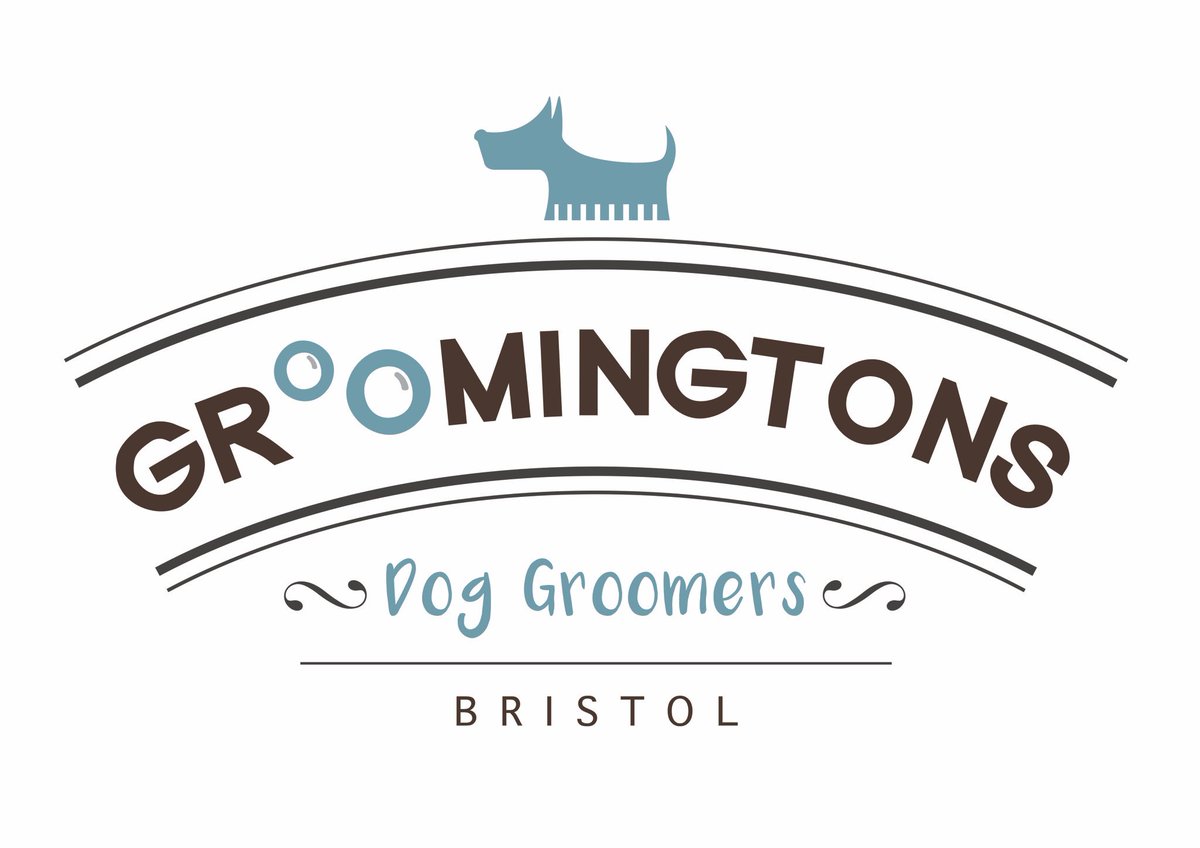 Groomingtons's tweet photo. We are finally on Twitter! Follow Groomingtons for all the pics and news on our furry friends! https://t.co/TxxFtjBP9F