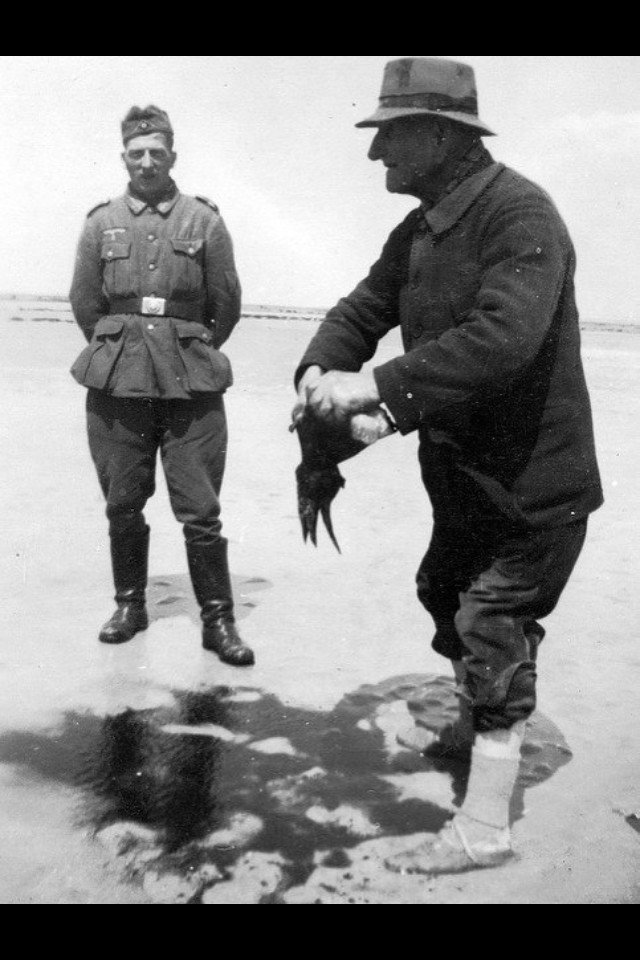 LittleSammy1944's tweet photo. The Allies might have had Pvt. Sammy Vogel but the Germans appear to have Freddy Krueger. An unaltered photo. https://t.co/I7BBkfRyHD