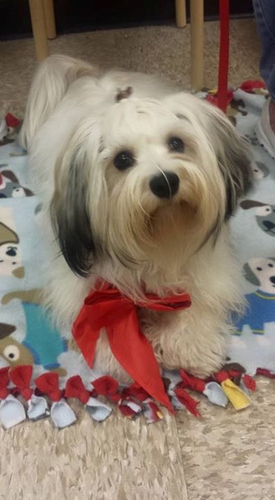 When your hair is on point for graduation!