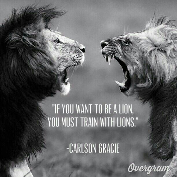 CoachFam's tweet photo. Everyday this must be your mindset #mindset #lion #famotivation https://t.co/NLtxBYPA8H