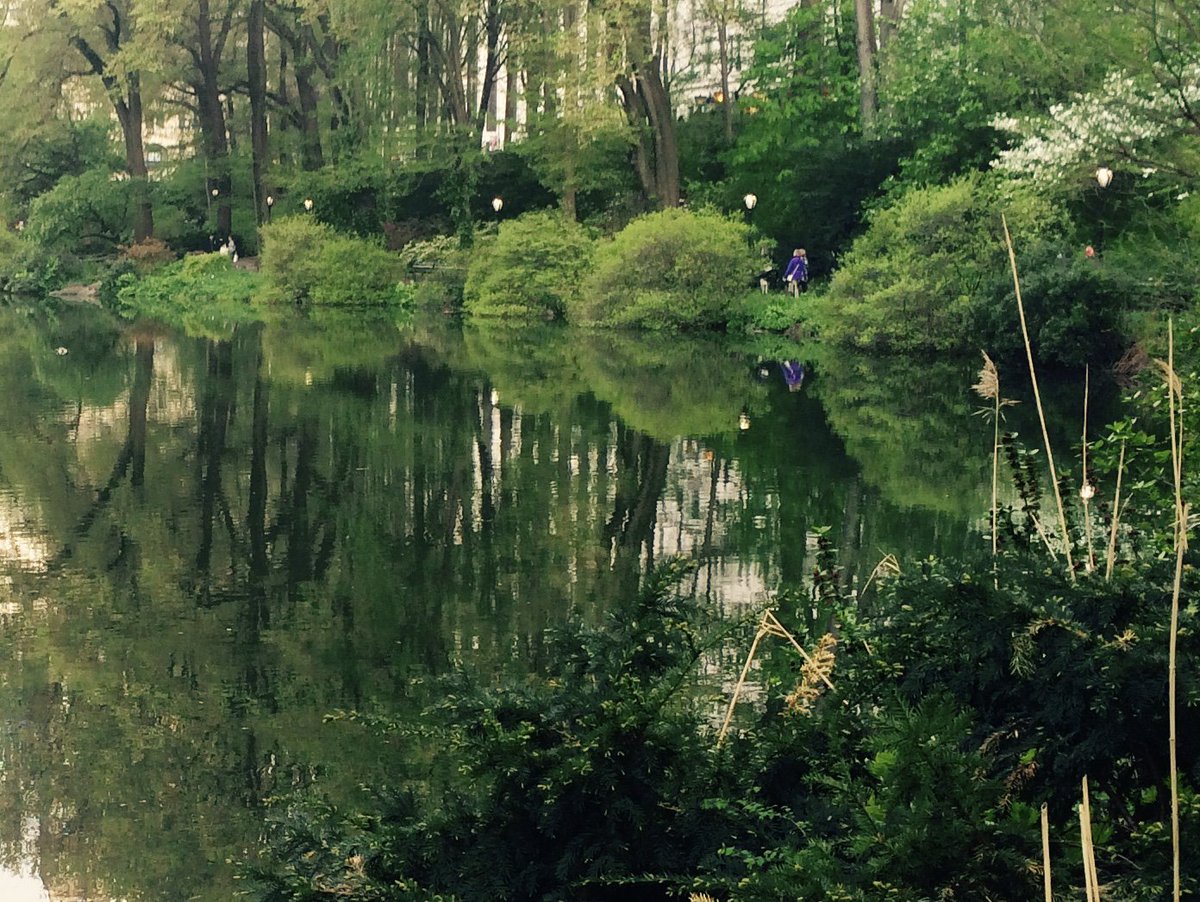 ugruve's tweet photo. @LeahBarclay You can find @mparanosic 's excellent music here, at The Pond in @CentralPark_NYC, all day! Enjoy! https://t.co/oBIYyG2ATA