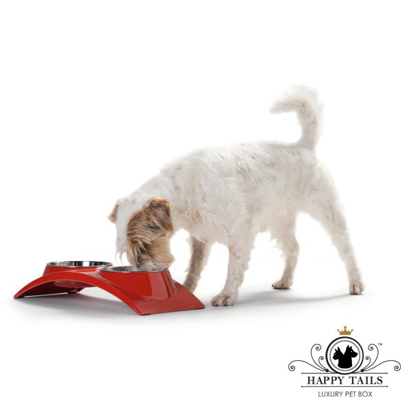 Happytailsbox's tweet photo. Spoil your dog with a melamine feeding bar from the Happy Shop. Hurry while stocks last https://t.co/FgtMT99YlU https://t.co/21LvXf9Pa0