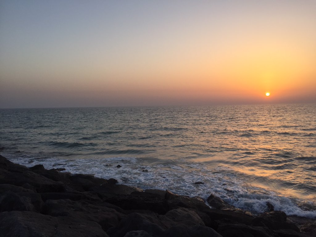 Abu Dheaa tweet media