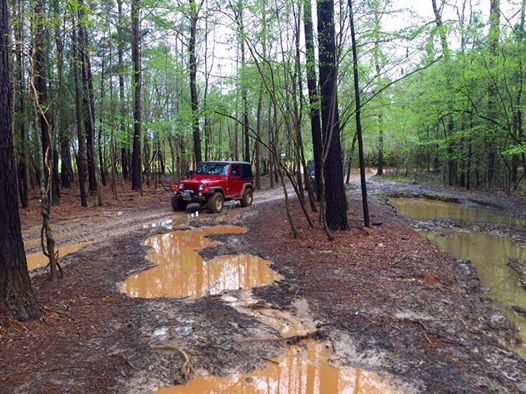 Jeep's tweet photo. Time to tackle the trails. #TrailTuesday (Photo credit: Daniel E.) https://t.co/zawXZhsp9u