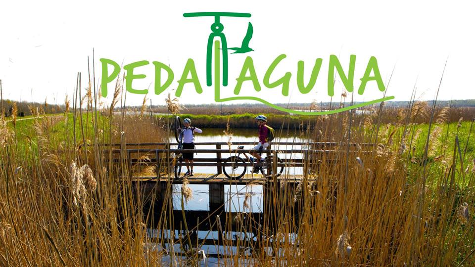CaorleBy's tweet photo. @cycling_talk  #Veneto #Caorle il 21 maggio, #Cicloturismo in laguna  https://t.co/tOqKSg535L https://t.co/OD7GP3aGBs