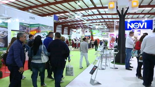 pepeplazam's tweet photo. A las 21h en @CSurNoticias #Almería, hacemos balance de @Expolevante: éxito total. En @CSurNoticias #Almería, 21h https://t.co/Eb9pMsjW8q