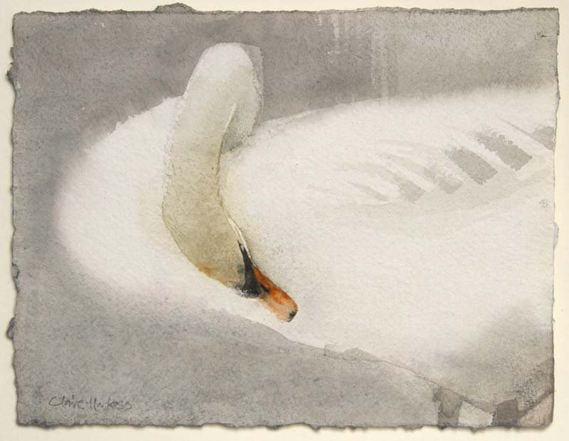 fothgall's tweet photo. Beautiful swan by Claire Harkess @RSW_watercolour - such a skilled painter! https://t.co/VbO9cU8cwf https://t.co/kbCP7d686L