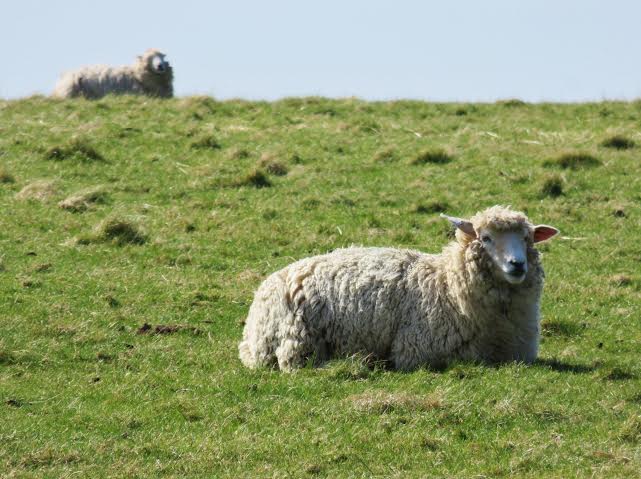 DayToursLondon's tweet image. Stonehenge&amp;amp;Bath is running #allthisweek!Oxford, Stratford &amp;amp; The Cotswolds Tour is running #thisweekend #lovelife