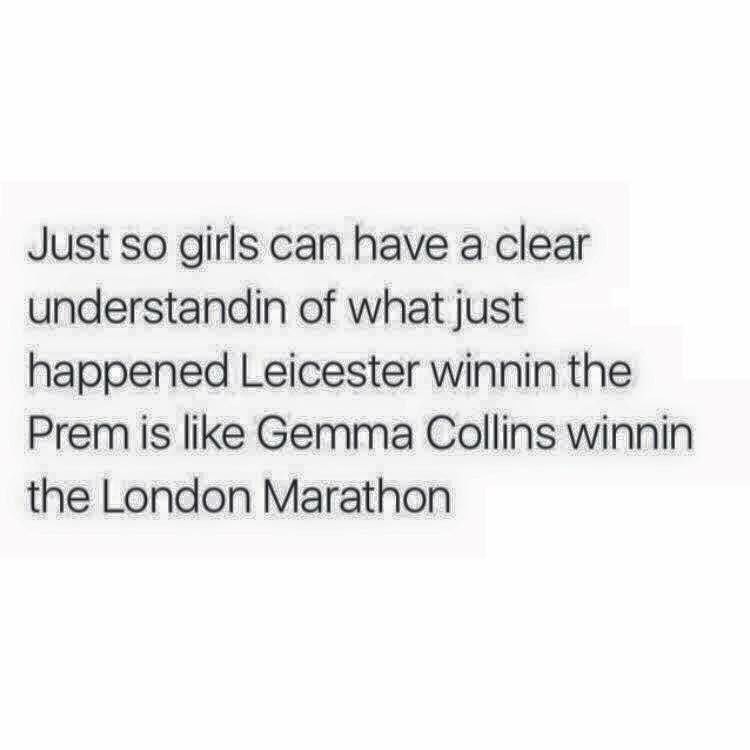 pittylaaa's tweet photo. @missgemcollins 🐷🐷 https://t.co/zPnL9lt6m4