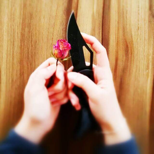 kar_gulum_hulya's tweet photo. DédiKi Öl Ki Toprak Ol.
Her Yaqmur SonraSı iÇime
DoL 
DédimKi ÖlürSem ÖlürSün 
Her Yaqmur SonraSı
BenimLe GömüLürSün https://t.co/6iY2miSMUs