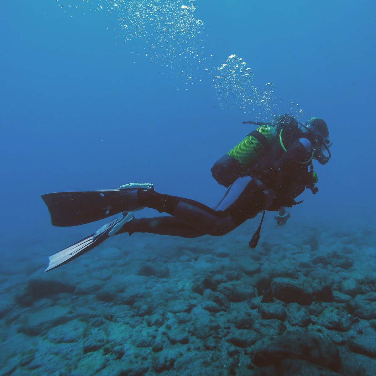 Keith_Arkins's tweet photo. Practising for #underwater #photography with a training #dive off the coast of #fuertaventura with #deepbluediving https://t.co/Qn5aaENOno