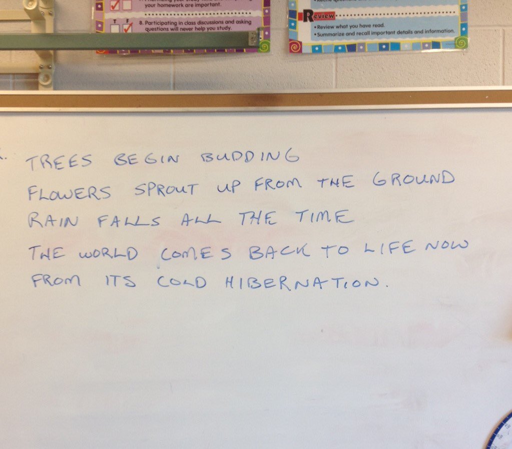 mapleviewhts's tweet photo. Gr. 7s writing spring tanka poetry while many excited to start gardening  next week as a stress release! https://t.co/muWXqZBuNu