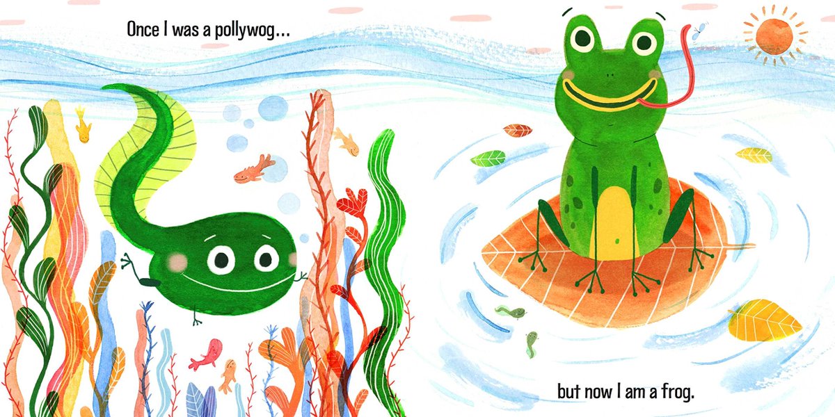 BrightAgencyUS's tweet photo. Happy pub day @barbrabakos! Young readers will <3 these colorful, happy animals https://t.co/lUZCoBgPYX #BrightReads https://t.co/kBNhogvZ4x