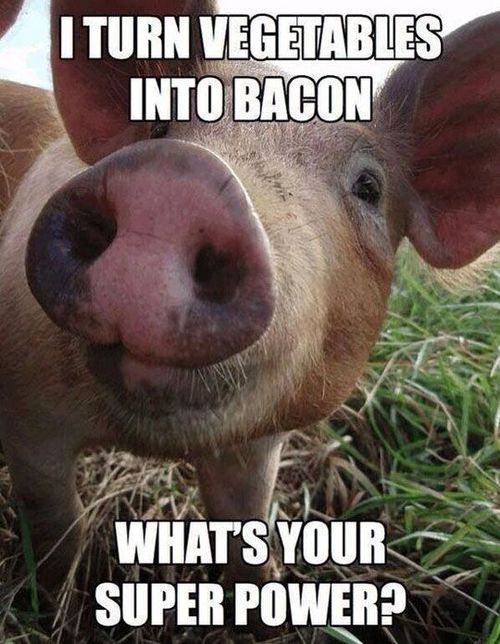 crootsfarm_shop's tweet photo. Have you got a Superpower?? #bacon #sausage #pork #derby https://t.co/yguftomdw8