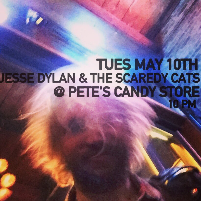 Jesse Dylan & the Scaredy Cats tweet media