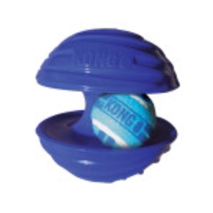 Enjoy our interactive toys? Try this one out!