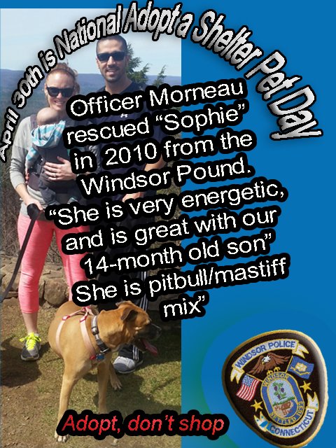 Windsor Police tweet media