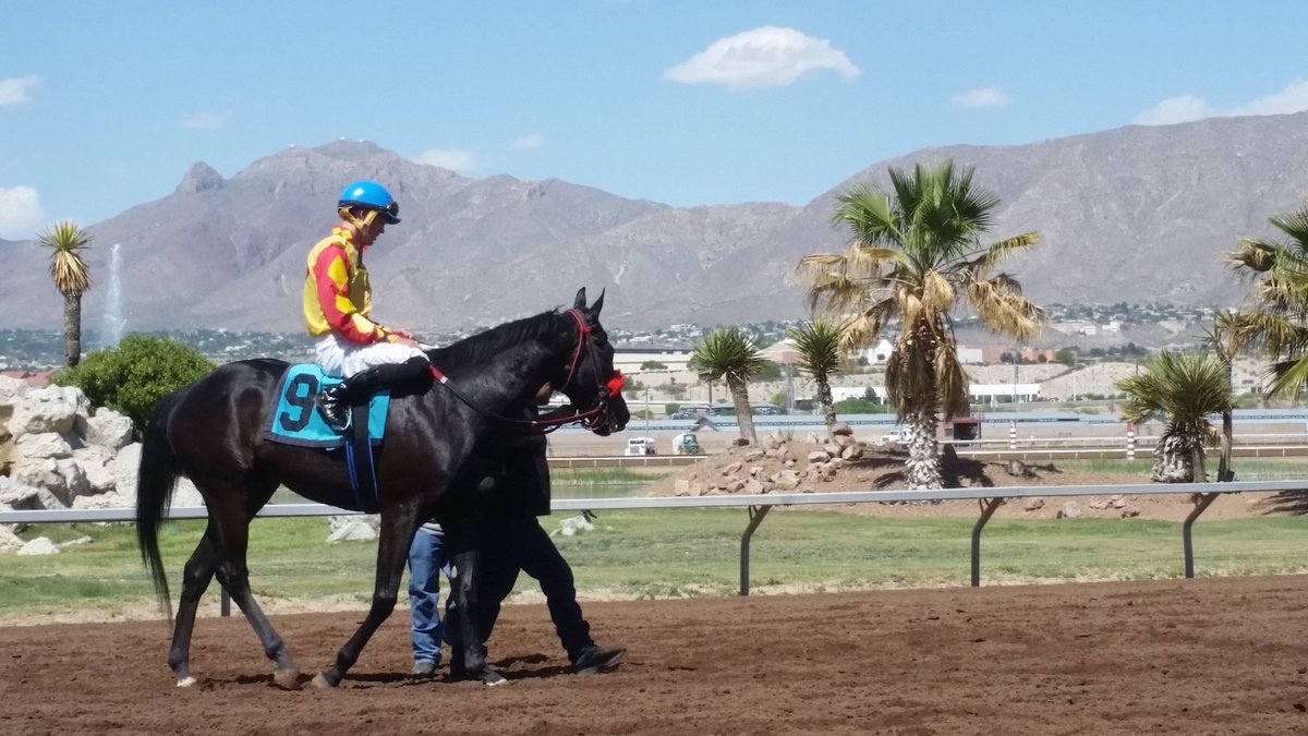 SunlandDerby's tweet photo. Stormin Navarone ~ 3yo NM-bred son of Song of Navarone ~ won the 5th at $88.80 for Johnnie Nall under Ry Eikleberry https://t.co/5rgJWHPVI5