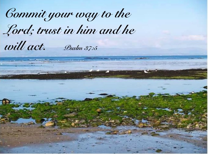 SAO4Christ's tweet photo. #CommitToHim #TrustInHim #HeWillAct #SigmaAlphaOmega #PsalmSongs #PhotoCred to @magennelson https://t.co/QIf8CTMe6D