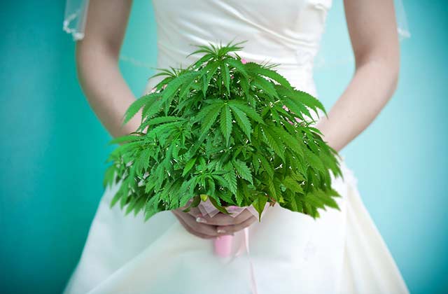 HIGH_TIMES_Mag's tweet photo. NEW: 1-800-Flowers Concerned Legal Marijuana Will Leave Them With No Growers. https://t.co/2k74e2pPGf https://t.co/AAAfMuMWta