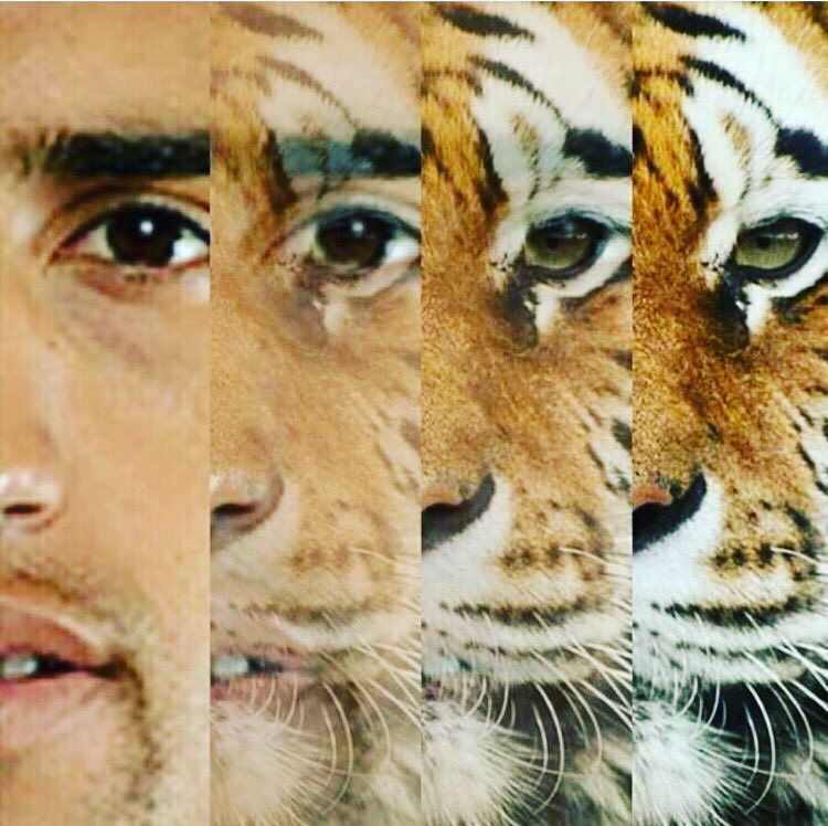 Arturo Vidal tweet media
