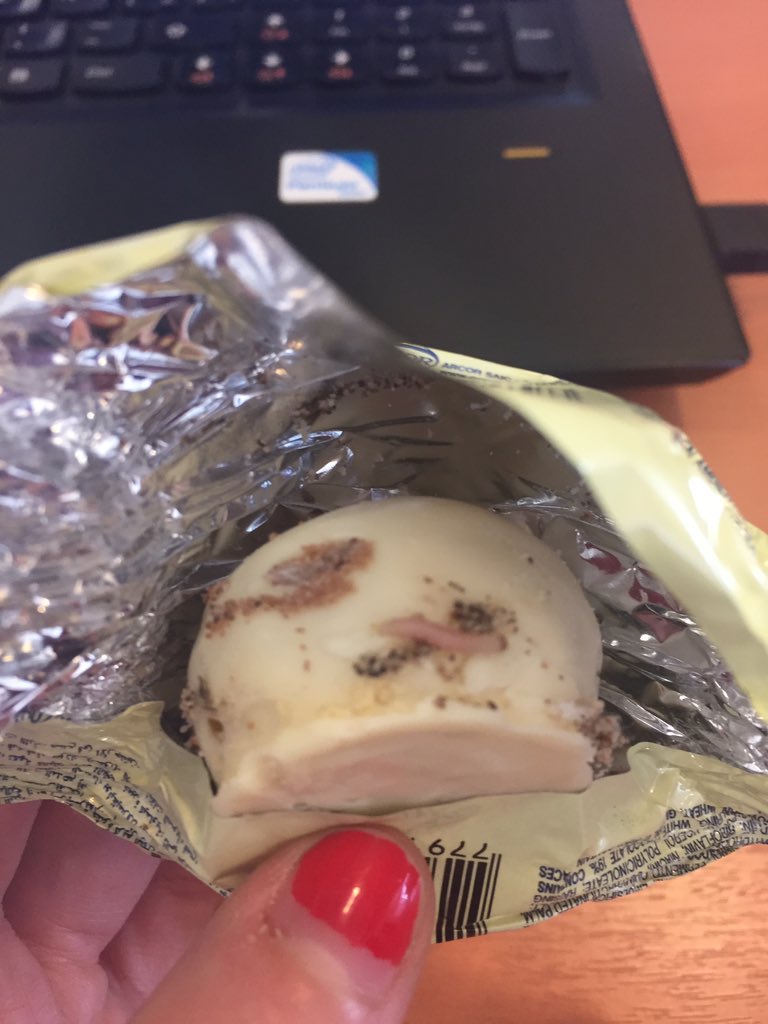 Catalina Gottfried tweet media