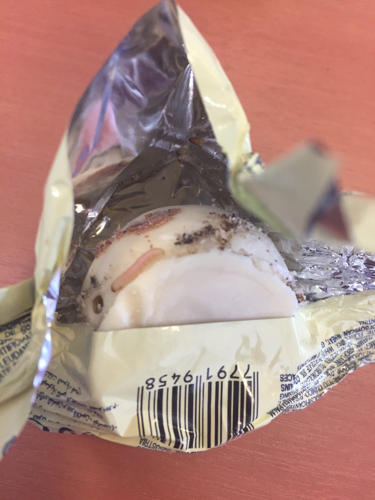 Catalina Gottfried tweet media