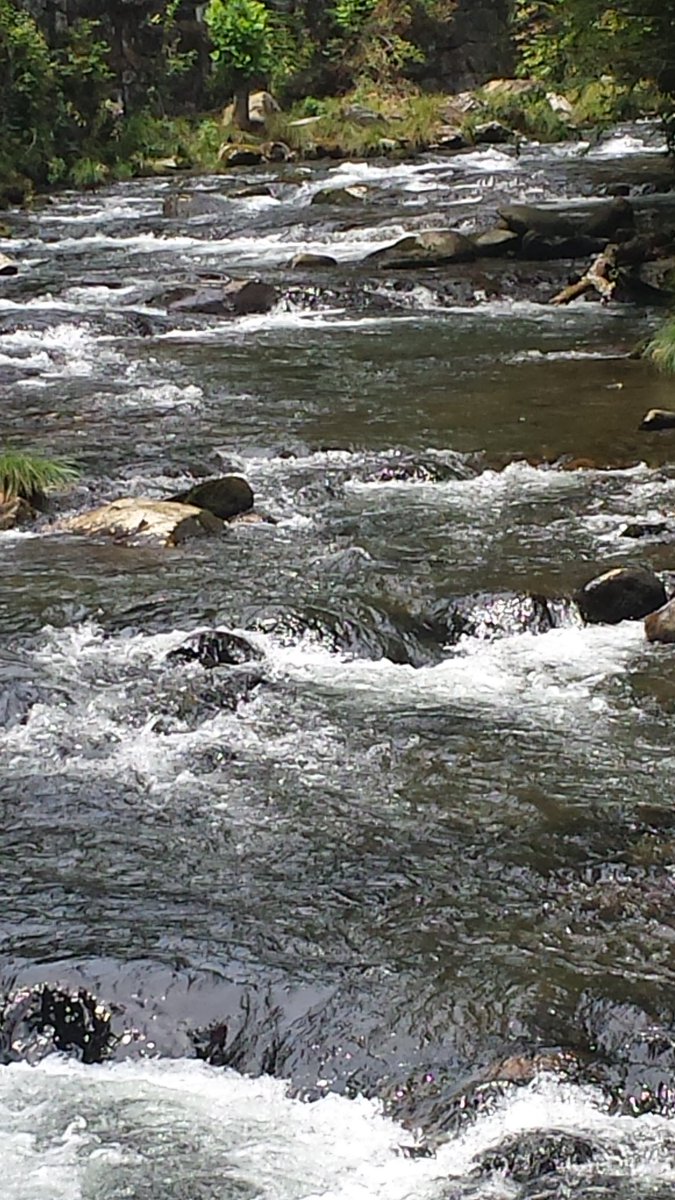 sonya680's tweet photo. Miss the smokies #smokymountains #theyrecalling https://t.co/gGOFDfUYY2