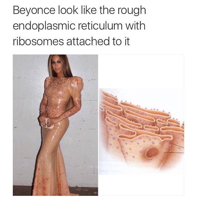 k_torresbio110's tweet photo. 😹😹 @NutmegSomething #Bio110sp16 https://t.co/Gk5YX1zOuh