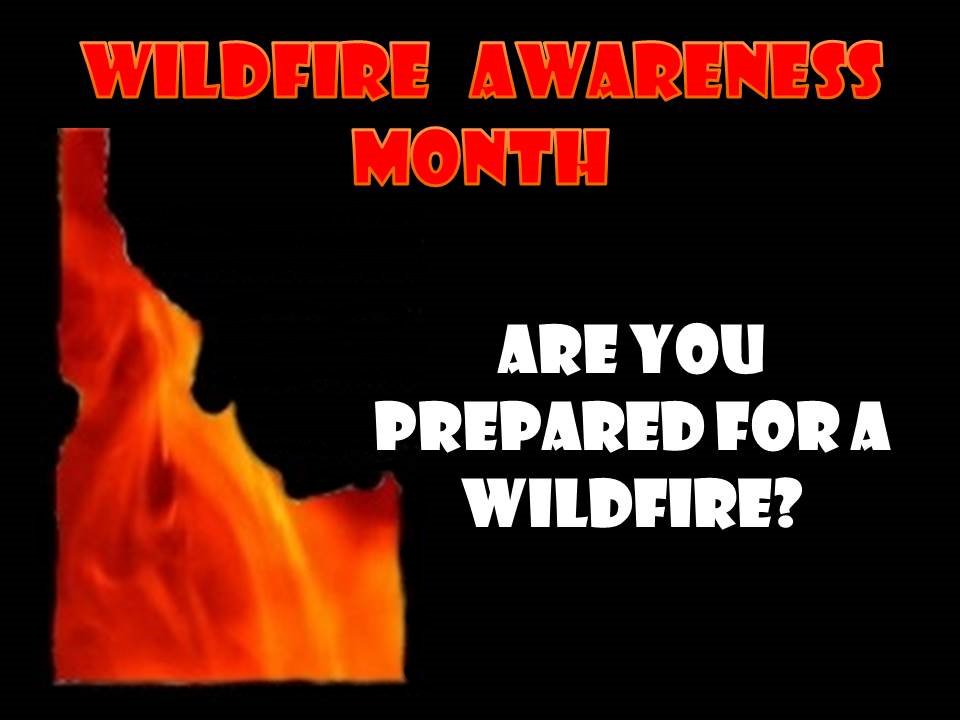 BoiseNF's tweet photo. It is Wildfire Awareness Month in Idaho!  Watch for Smokey Bear tips on staying safe!  #BOFFire, #FirePrev. https://t.co/8TRWqkK4jH