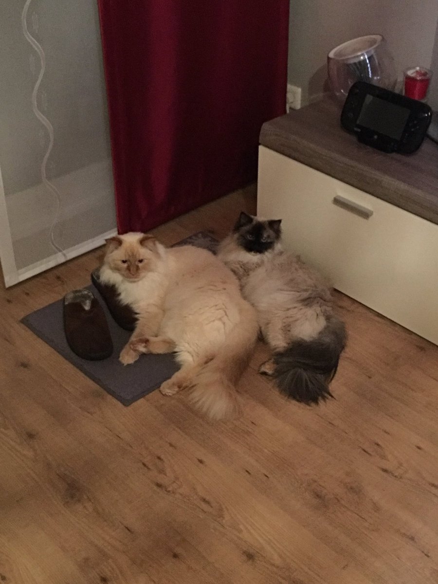 Stefanie Sondermann tweet media