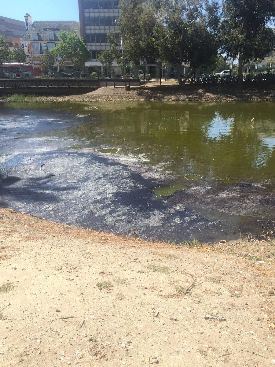CriminalShow's tweet image. We're in LA for #radiotopialive &amp;amp; came to the La Brea Tar Pits. Can't believe Episode 33's Sgt. Mascarenas dove in.