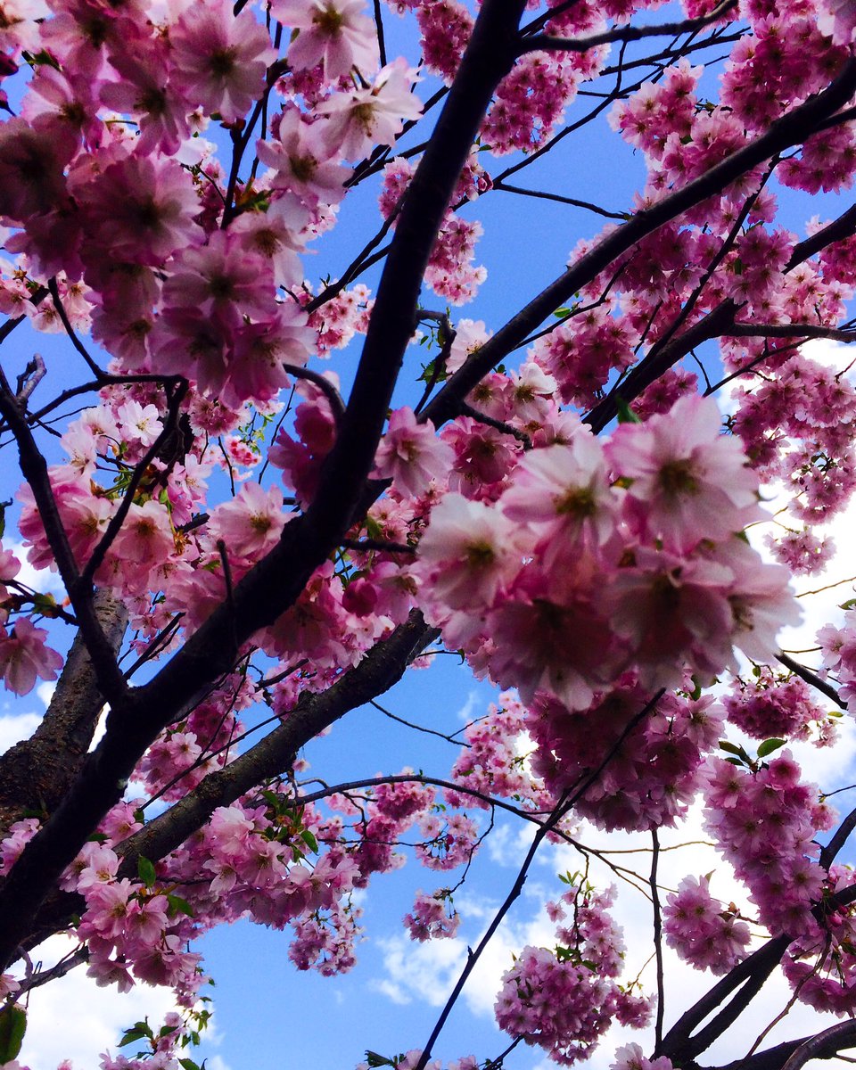Plindan's tweet photo. Summer is just around the corner and with the change of seasons comes the changes in life! #crossroad #lifechange https://t.co/GlAGLDvQfV