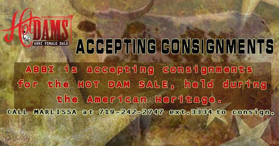 ABBI is now accepting consignments for the HOT DAMS SALE held during American Heritage in June. Call Marlissa today!