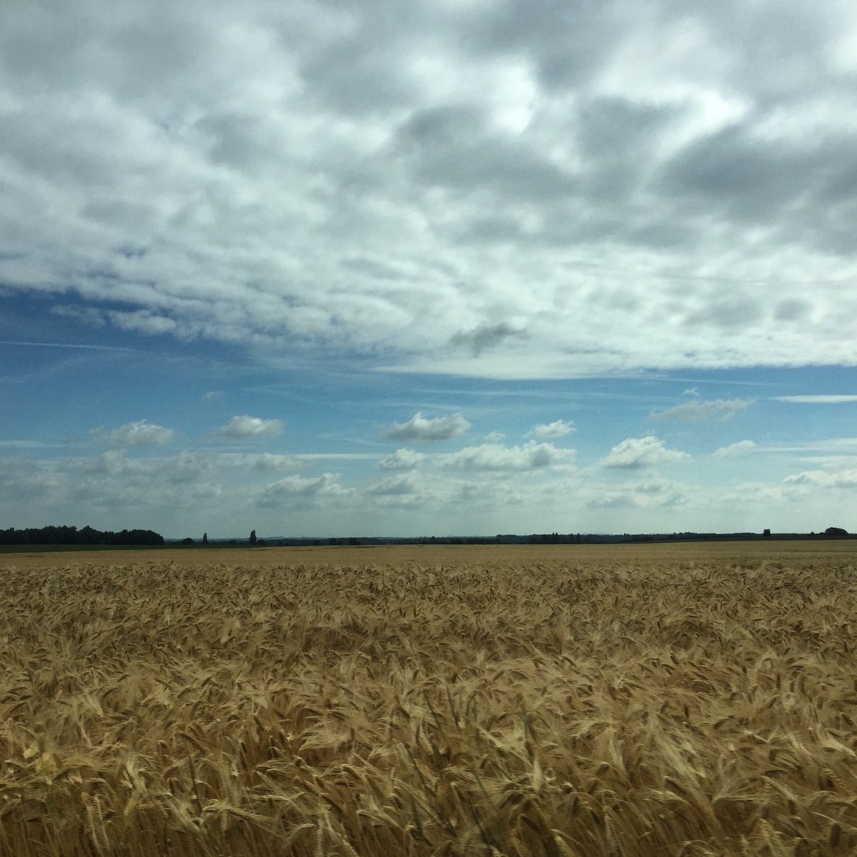 Melissa Vipritskaya has captured this vast #landscape on a mobile phone! Wow.
