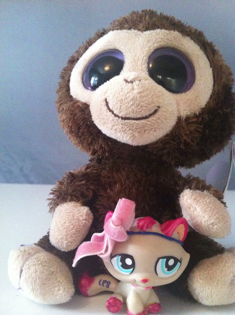 SSGFAN0's tweet image. My lps/beanie boo!
