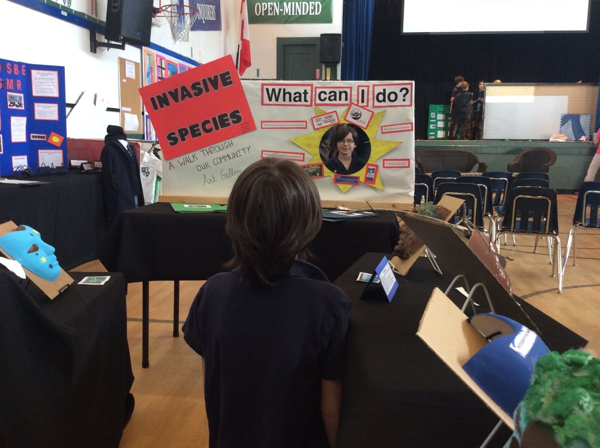 Beach5SW's tweet photo. It's here! Grade 5 Exhibition at The Beach #BeachExhibition @principalGNSJS @glenlyonnorfolk @beachfives https://t.co/tehpWsEchJ