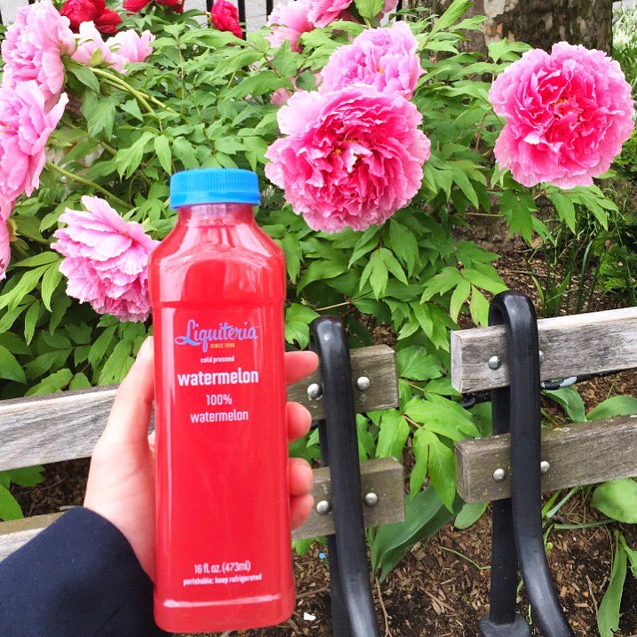 liquiteria's tweet photo. April showers bring May flowers.....and watermelon! It's back! https://t.co/jNIstJHfN6