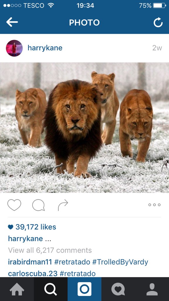 PSV_Hangover's tweet photo. 2 Goals 1 Cup we're coming for you 🐆🦁 #psvh https://t.co/55uKaRJWEF