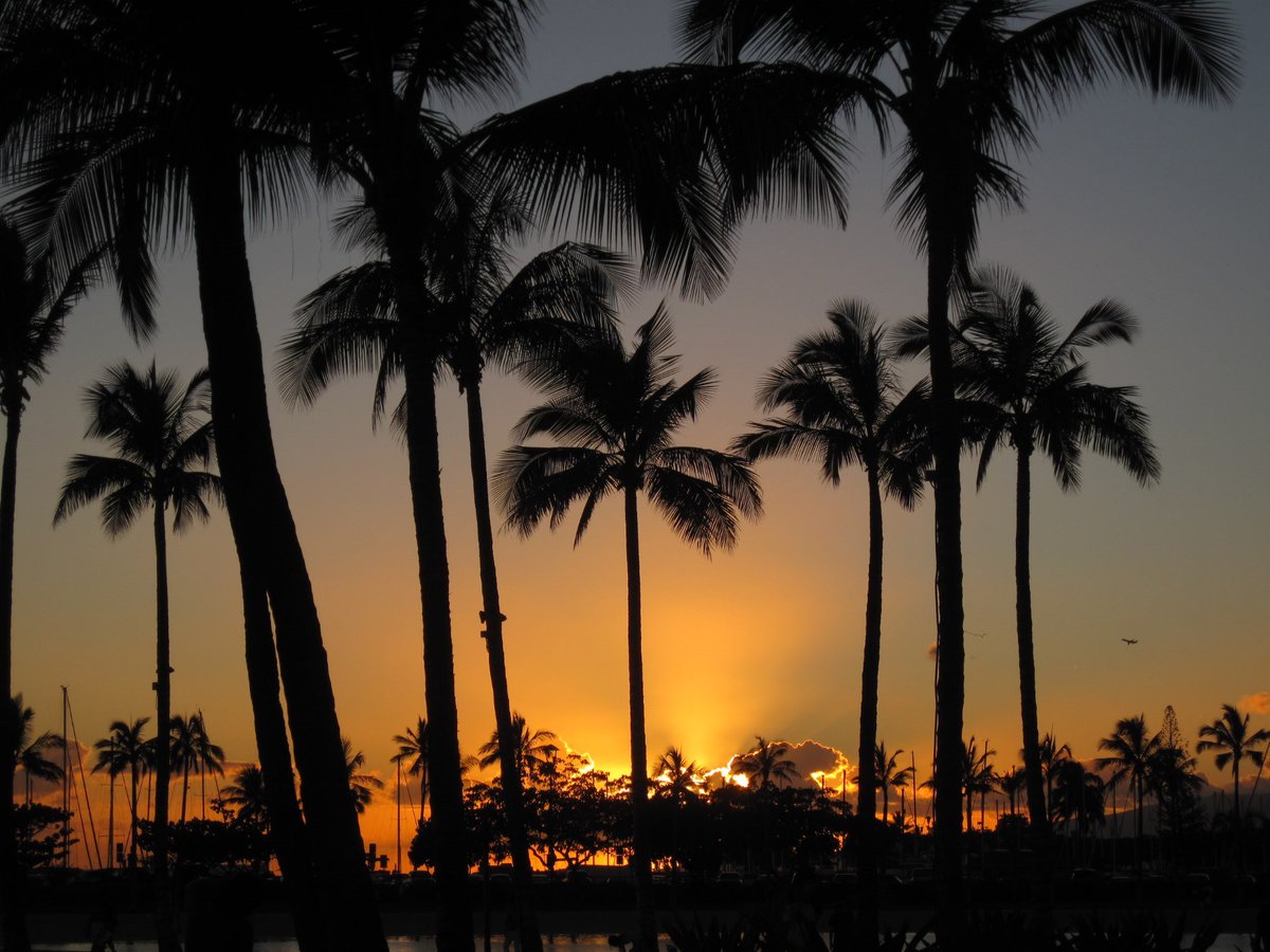 galttechcom's tweet image. Doin' it #hawaiianstyle! Days in #Oahu #TravelTuesday #sunset