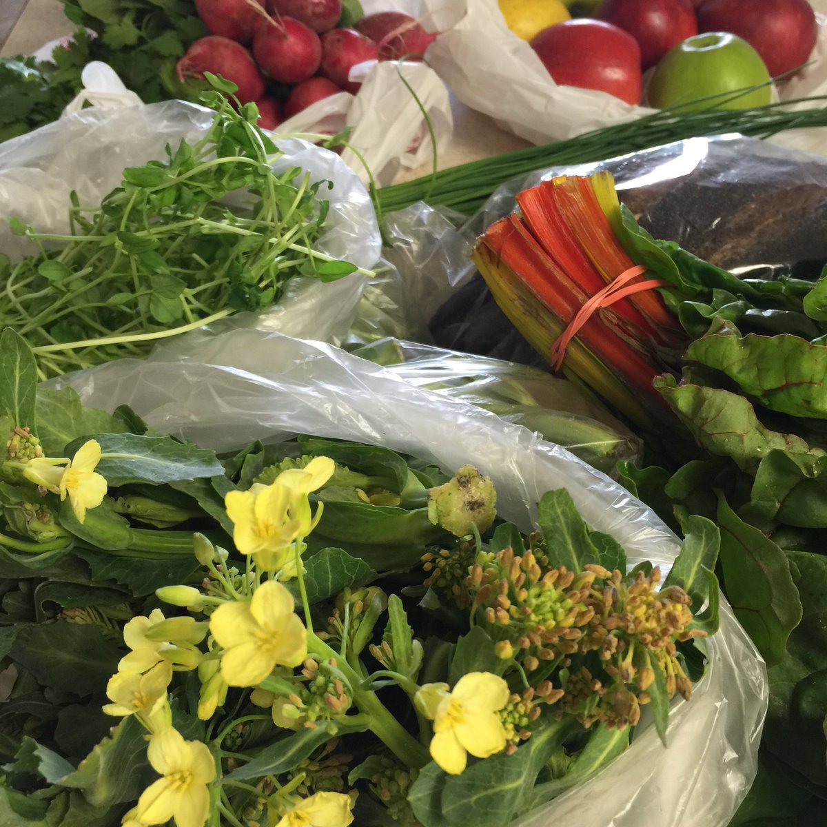 petersaidthat's tweet photo. Awesome lunchtime farmers market loot from city center! @FRESHFARMCCDC #peasprouts #russianbread #broccoliflowers? https://t.co/smWcSEm21P
