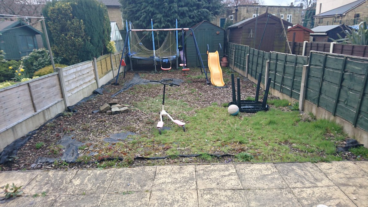 ProblemGutter's tweet image. Started this garden today will post the progress this week 😎