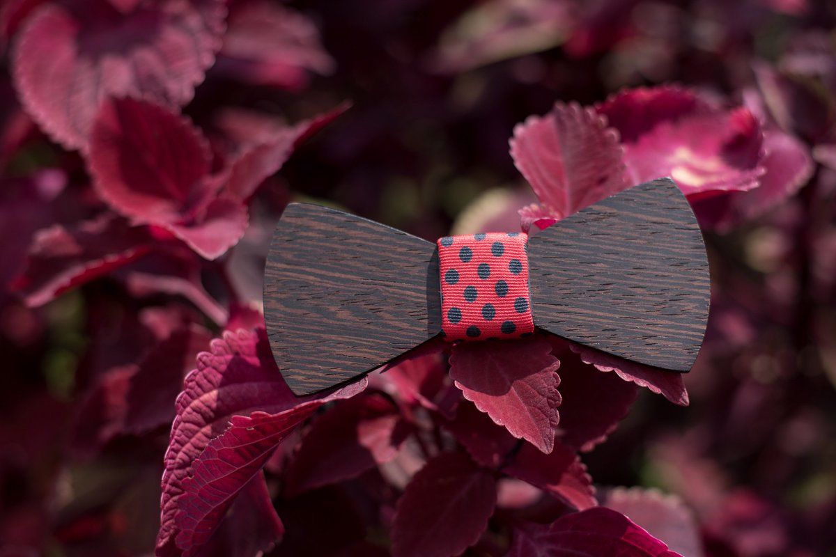 Dressing up #nature. The Monroe #woodenbowtie bit.ly/24wm2L1. #bowtietuesday #picoftheday #mensfashion