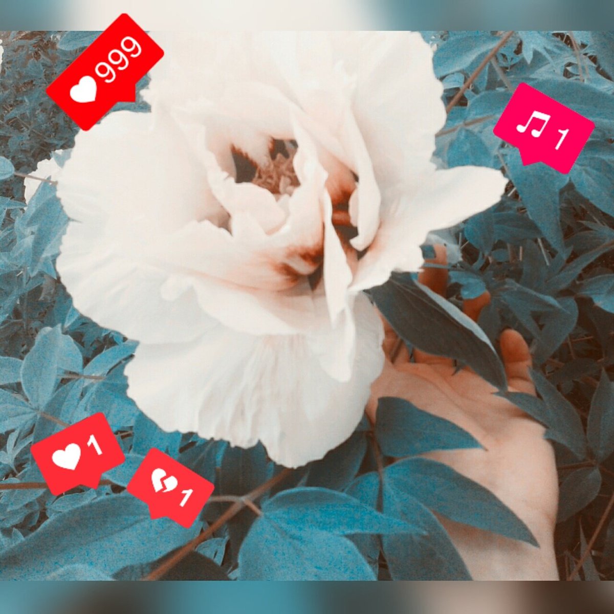 MIS_devil13's tweet photo. If you want to be somebody, somebody really special, be yourself! https://t.co/3mrYB71f8I