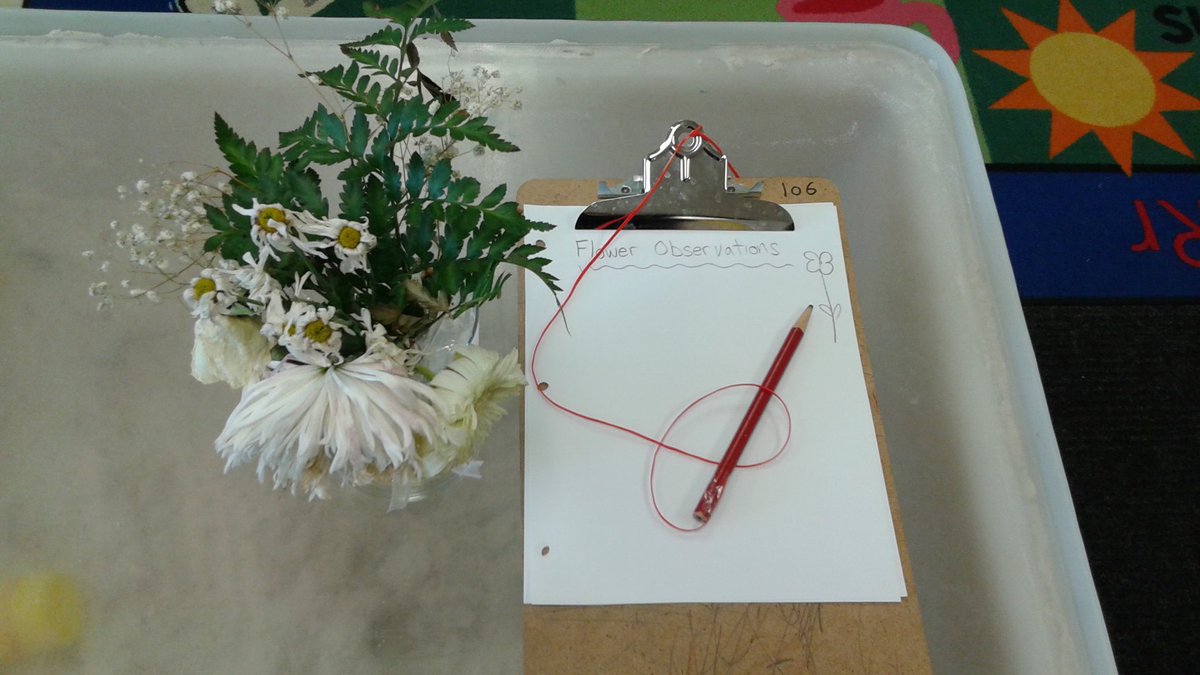 dichiara106's tweet photo. Writing about what happened to our flowers! @StCofA_HCDSB 🌼🌸 #studentobservations #fdk #welovenature https://t.co/ZzWy9umweh