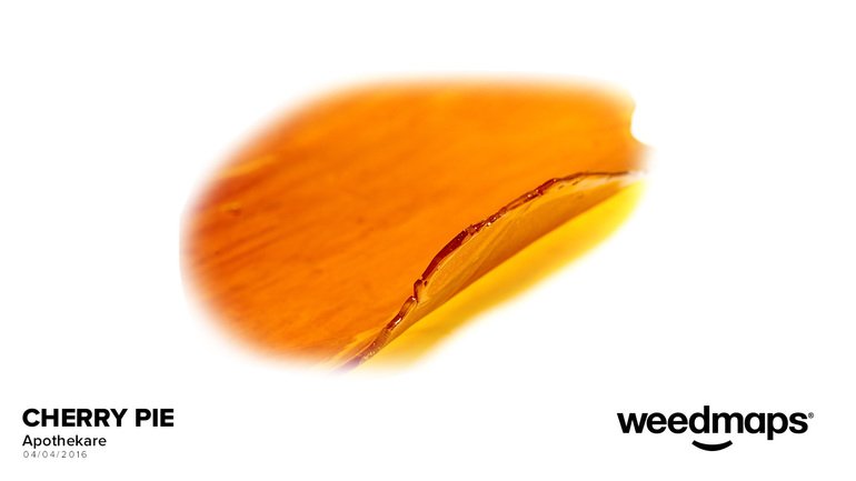 Apothekare's tweet photo. Cheery Pie by #Apothekare Photo by #weedmaps https://t.co/8vPzDPSTae