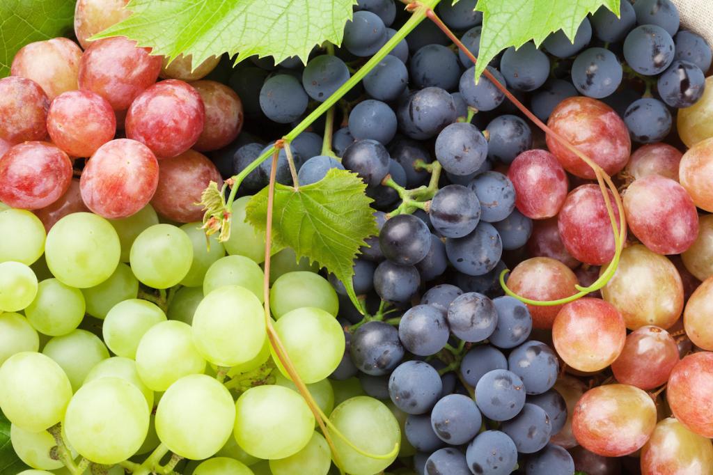 nutribullet's tweet photo. Not only do grapes add a sweet kick to your NutriBlast, they're great for the heart too. https://t.co/r16PvE6Q3n https://t.co/PglV8PB38r